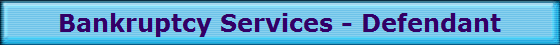 Bankruptcy Services - Defendant